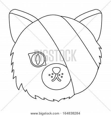 Sick cat with bandage on a head icon in outline design isolated on white background. Veterinary clinic symbol stock vector illustration.