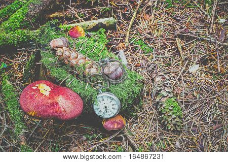 The passing of time - An vintage pocket watch on bunchers tree trunk with red mushroom in autumn forest.