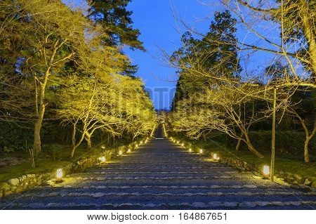 The Beautiful Nison In At Night