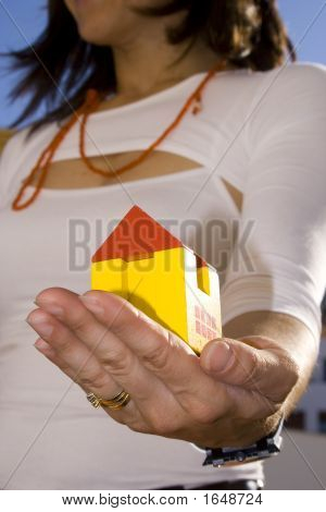 Zobrazeno mého nového domu 2