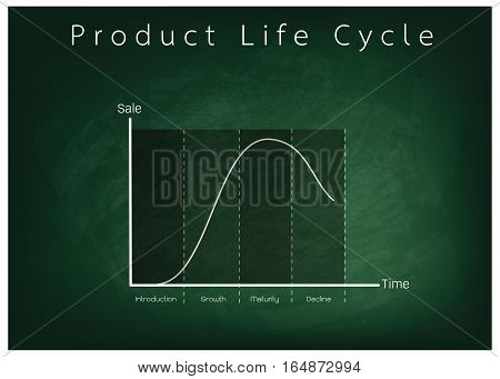 Business and Marketing Concepts 4 Stage of Product Life Cycle Chart on Green Chalkboard.