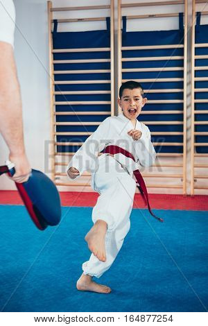 Tae Kwon Do Instructor With Little Boy