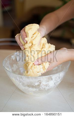 Woman kneads dough for the preparation of raw homemade food. handmade. Free place.