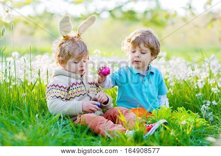 Two little kids boys and friends in Easter bunny ears during traditional egg hunt in spring garden, outdoors. Siblings having fun with finding colorful eggs. Old christian and catholoc tradition