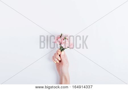 Small Bouquet Of Pink Carnations In A Woman's Hand With Yellow Nail Polish On A White Background