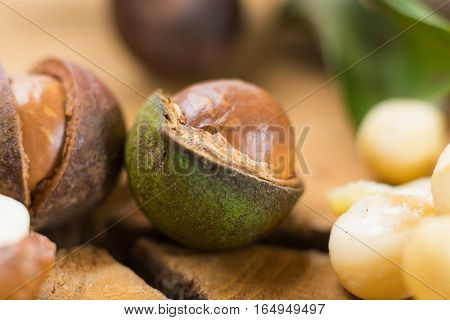 Macadamia in shell nuts harvest close up