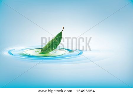 green leaf falling in water / illustration - check my gallery for more