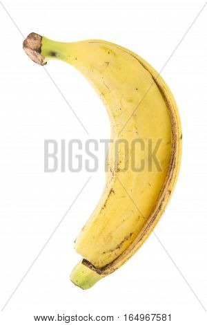 Cavendish Banana Peel