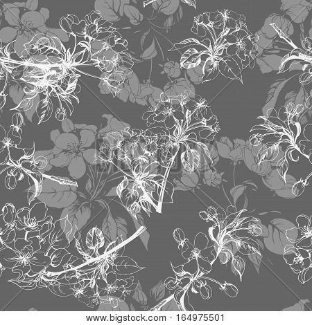 Seamless background with Apple flowers. Vector illustration