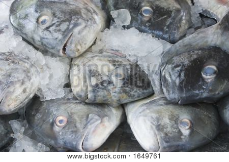 Frozenfish