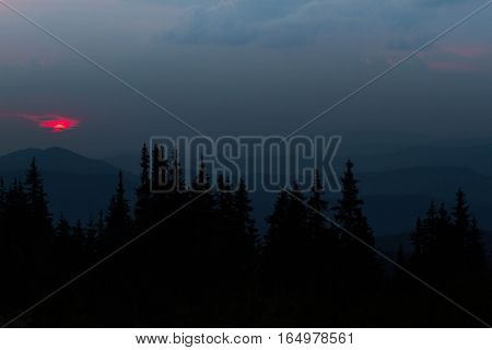 Sunrise in the mountains. Outlines of spruce tops and the sun's rays make their way through the clouds and mountains peaks. Spruce background. Coniferous forest
