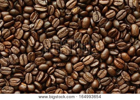 Picture of the species, coffe arabica beans.
