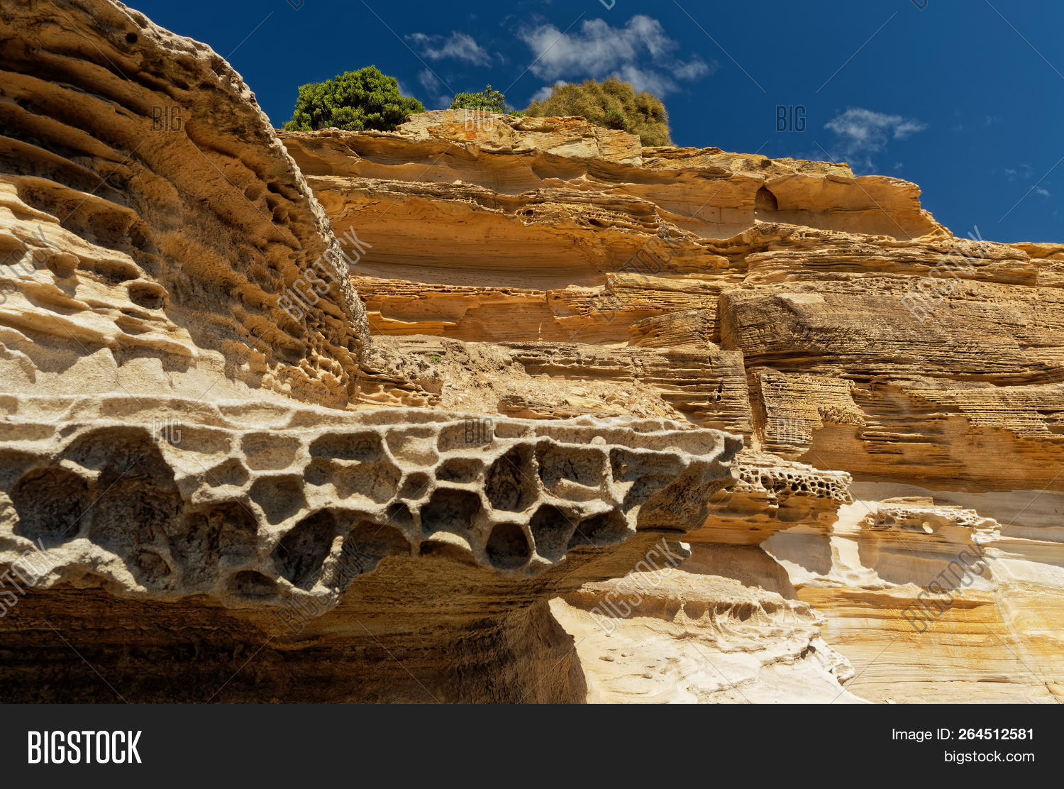 Живопись природы: остров Мария (Марайя) Живопись природы: остров Мария (Марайя)