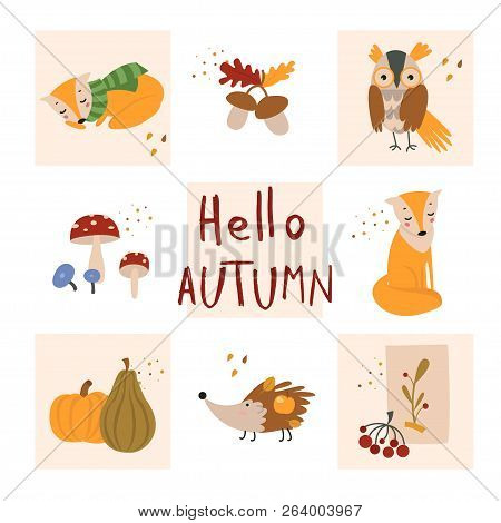 Autumn Cartoon Illustration Template With Hand Drawn Elements