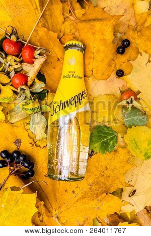 Saint-petersburg, Russia, 17102018 Drink Schweppes In A Glass Bottle On Autumn Yellow Green Foliage 