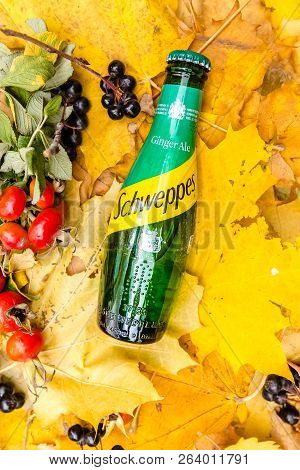 Saint-petersburg, Russia, 17102018 Drink Schweppes In A Glass Bottle On Autumn Yellow Green Foliage 