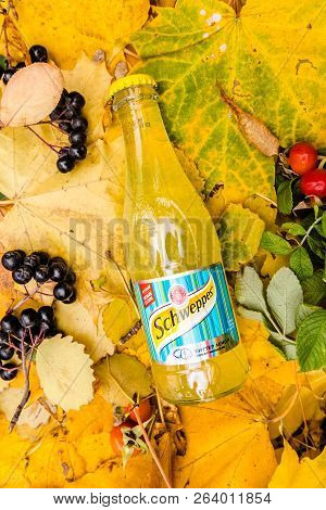 Saint-petersburg, Russia, 17102018 Drink Schweppes In A Glass Bottle On Autumn Yellow Green Foliage 