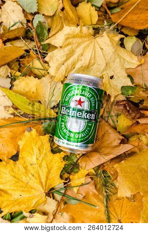 Saint-petersburg, Russia, 17102018 Beer Heineken In A Glass Bottle On Autumn Yellow Green Foliage Of