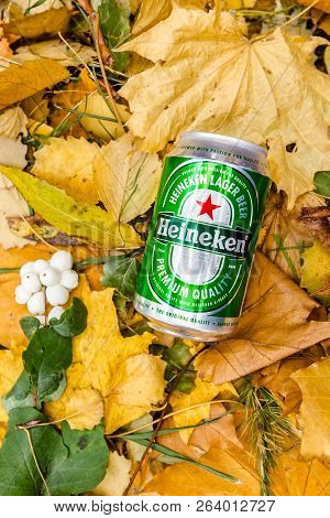Saint-petersburg, Russia, 17102018 Beer Heineken In A Glass Bottle On Autumn Yellow Green Foliage Of