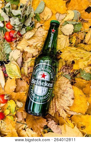 Saint-petersburg, Russia, 17102018 Beer Heineken In A Glass Bottle On Autumn Yellow Green Foliage Of