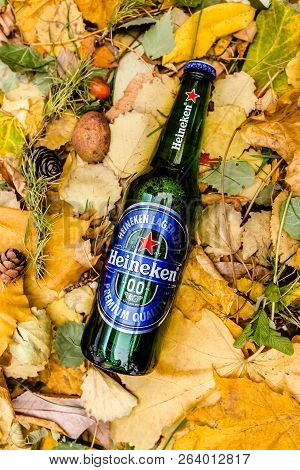 Saint-petersburg, Russia, 17102018 Beer Heineken In A Glass Bottle On Autumn Yellow Green Foliage Of