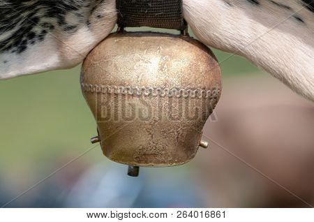 Close-up Of A Traditional Cowbell Worn By A Witrik Cow In The Italian Dolomites.