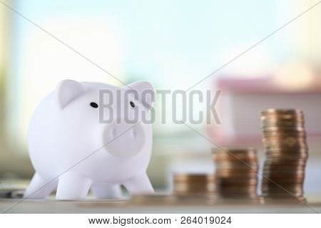 Pig With Money Diagramm. Future Needs Loan Education Or Mortgage Credit Spend Vacation Of Dream Effe