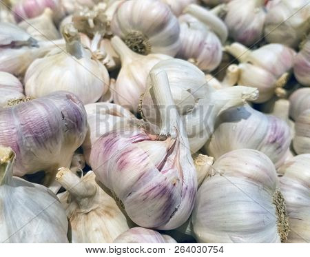 Heads Of Garlic In Bulk Uniform Background.