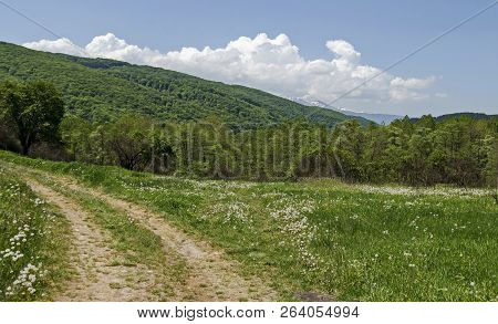Springtime Green Forest, Glade And Valley Among Lozen Mountain, Plana Mountain And Snowy Vitosha Mou