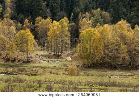 Autumn Landscape In The Mountains Of The Caucasus Near The Village Of Arkhyz. Russia, Karachay-cherk
