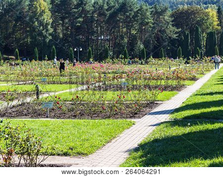 Kislovodsk, Russia - September 19, 2018: People Walk In Flower Garden Of Kislovodsk National Park In