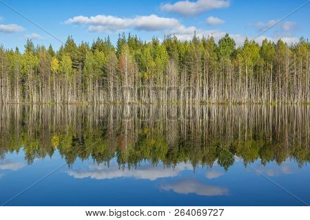 Blue Sky And Green Trees In Clear Lake Mirror Water Reflection Of Autumn Forest Fall Landscape