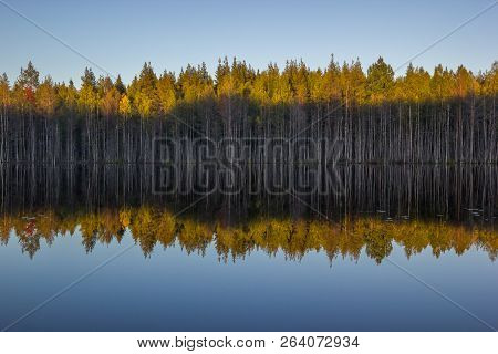 Evening Blue Sky And Trees With Shadow In Water Reflection Sunset Landscape