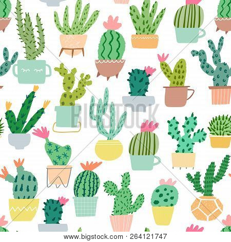 Vector Catus Seamless Pattern. Cacti Texture Hand Draw Background