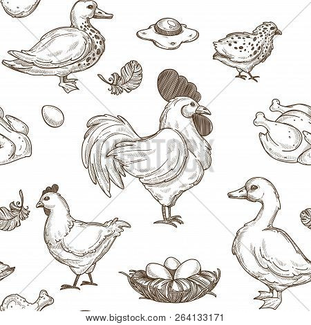 Chicken And Ducks Sketch Pattern Background. Vector Seamless