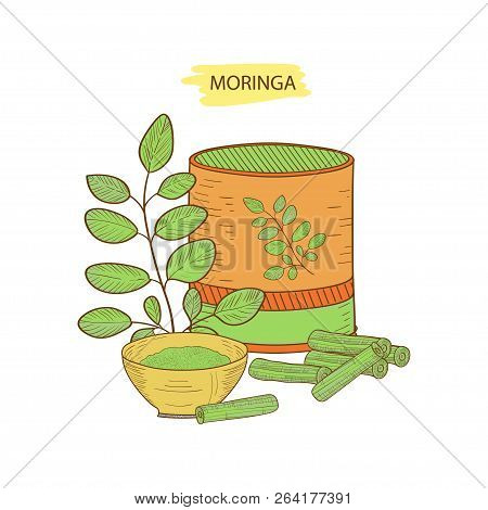 Moringo. Green Branch, Packing, A Bank For Storage Of Products.. Sketch. Colorful Drawing. Set