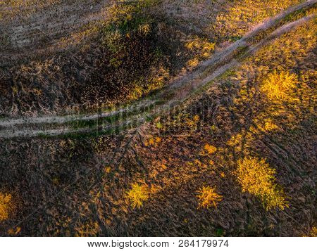 Aerial Top Down: Beautiful Autumn Trees In Yellow, Orange And Red Forest On Sunny Autumn Day.