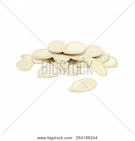 Pumpkin Seeds Or Pepitas, Isolated On White Background. Vector Illustration