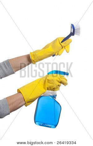 Eine Person hält eine Sprühflasche und Bürste