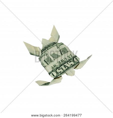 Money Origami Turtle Folded With Real One Dollar Bill Isolated On White Background