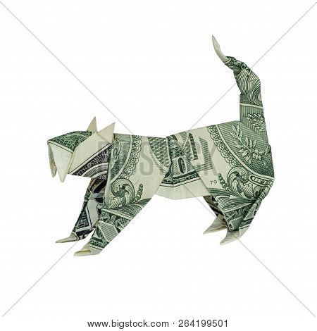 Money Origami Wild Cat Folded With Real One Dollar Bill Isolated On White Background