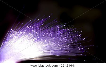 fibra ottica