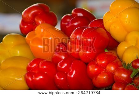 Multicolored Ripe Paprika Slid Up A Hill In Daylight