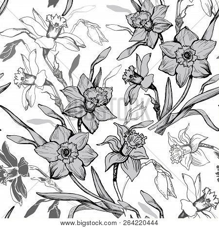 Monochrome Botanical Seamless Pattern With Hand Drawn Flowers Daffodils, Narcissus. Elegant Floral E