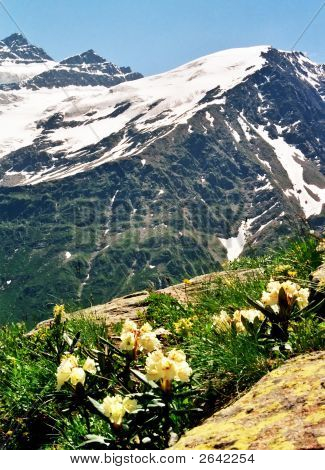Jaro v Prielbruse.