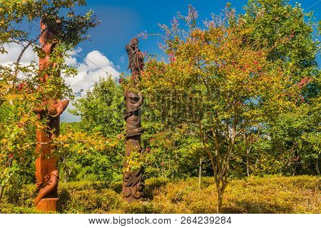 Samcheok, South Korea; September 25, 2018: Wooden Statues Shaped Like Human Penis Behind Trees In Pu