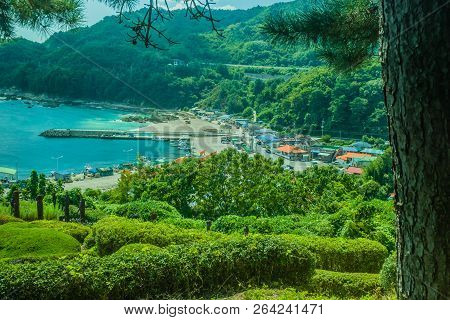 Samcheok, South Korea; September 25, 2018: Coastal Ocean Village And Pier Below Public Garden With P