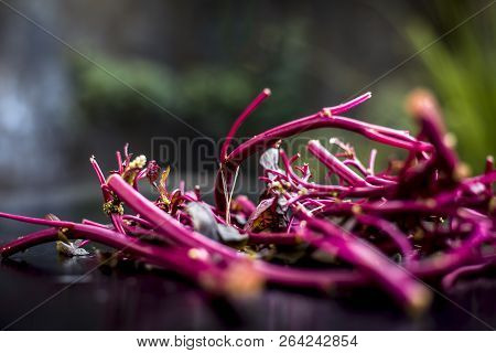 Close Up Of Raw Amaranth Leaves's Branches On Wooden Surface Without Its Leaves.