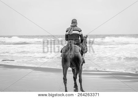 Horse In Saaidia Beach