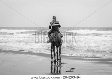 Horse In Saaidia Beach